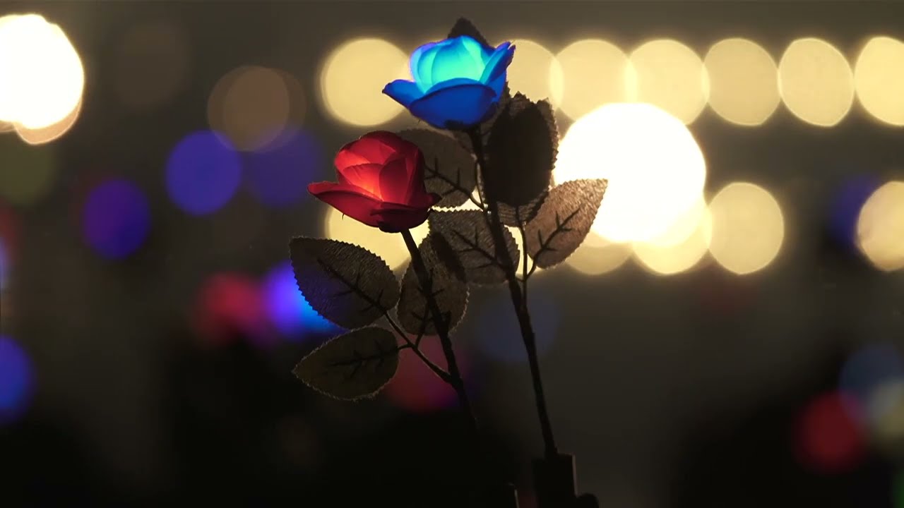 FULL LIVE] Scarlet Majesty - LAREINE (Remastered | DVD Rip