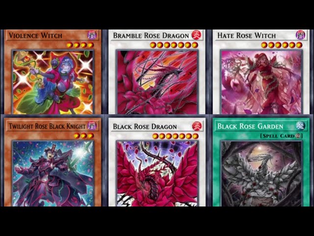 遊戯王ADS/EDOPRO】黒薔薇の破滅竜【DOOD新規入りブラック・ローズ