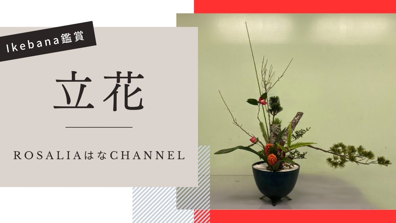 池坊【Ikebana/いけばな鑑賞】専好立花7図の再現 | Senko Rikka