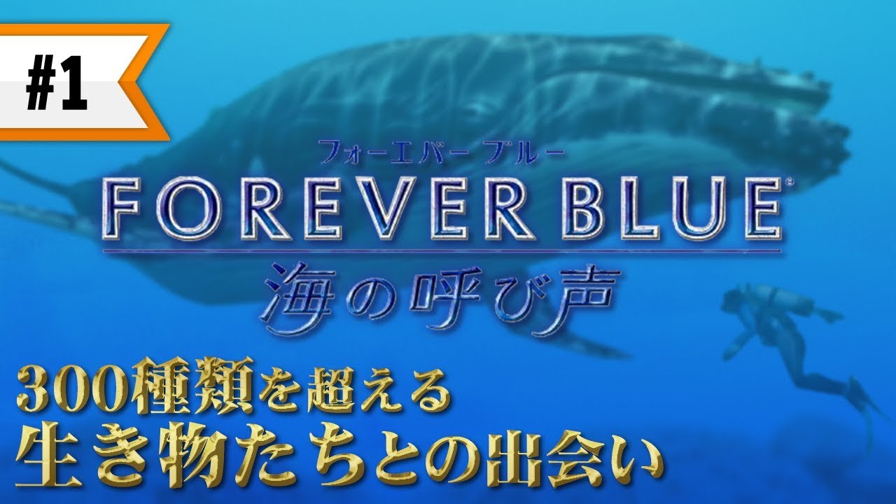 FOREVER BLUE 海の呼び声 #1 神秘的な水中の世界で魚達とふれ合う