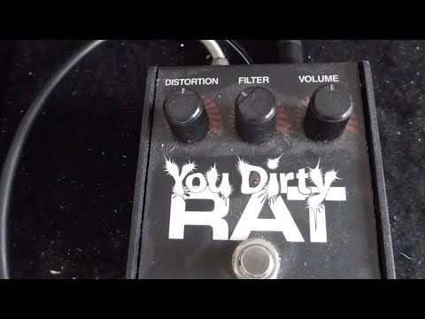 ProCo You Dirty Rat - YouTube