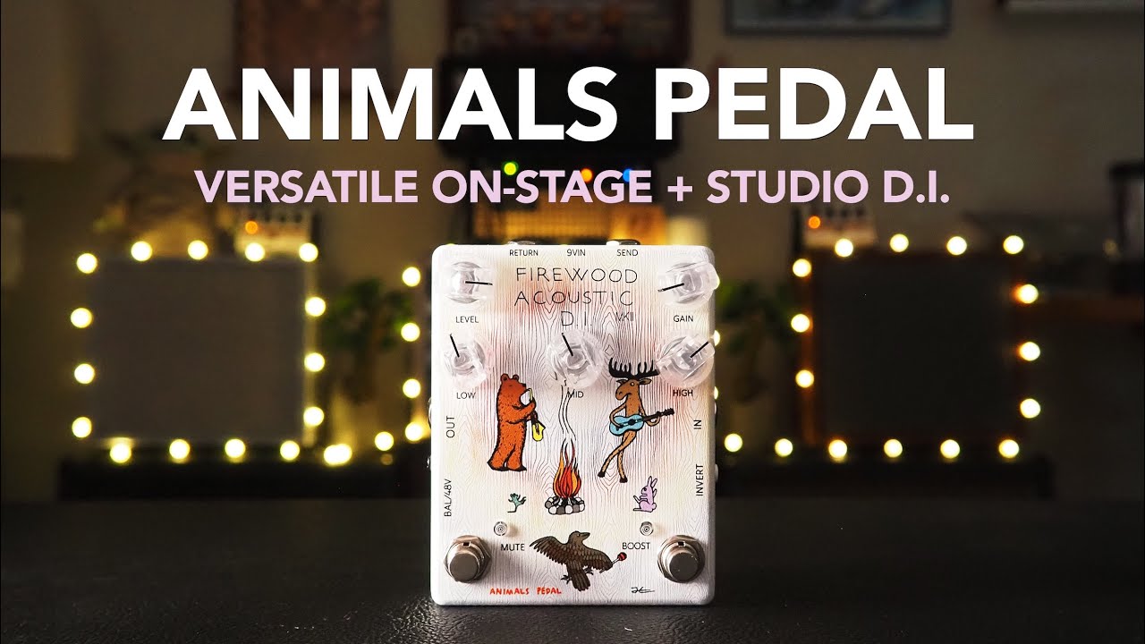 Animals Pedal // Firewood Acoustic D.I. MKII (Demo) - YouTube