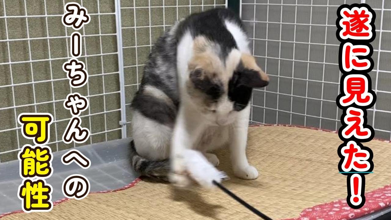 A moving and divine episode] Finally! I can see the possibility