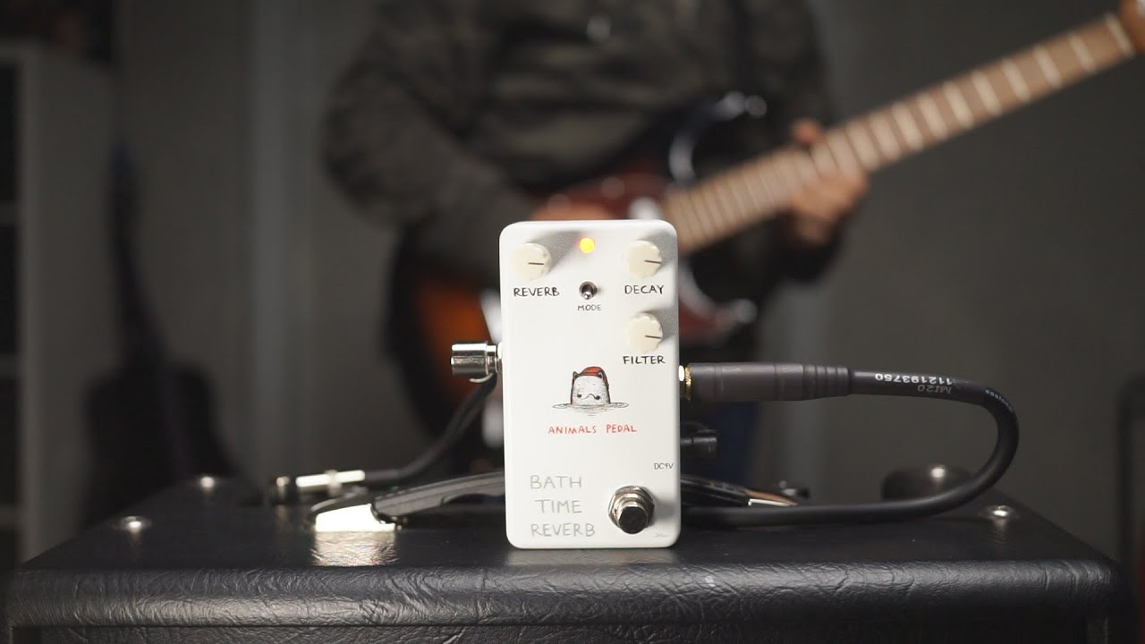 Animals Pedal - Bath Time Reverb - Guitar Pedal - YouTube