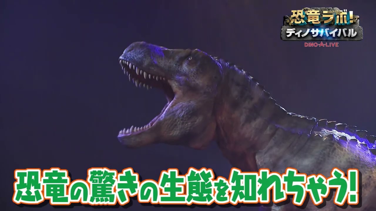 恐竜が目の前で動き回り、吠え、咬みつき、バトルする！ 大興奮の