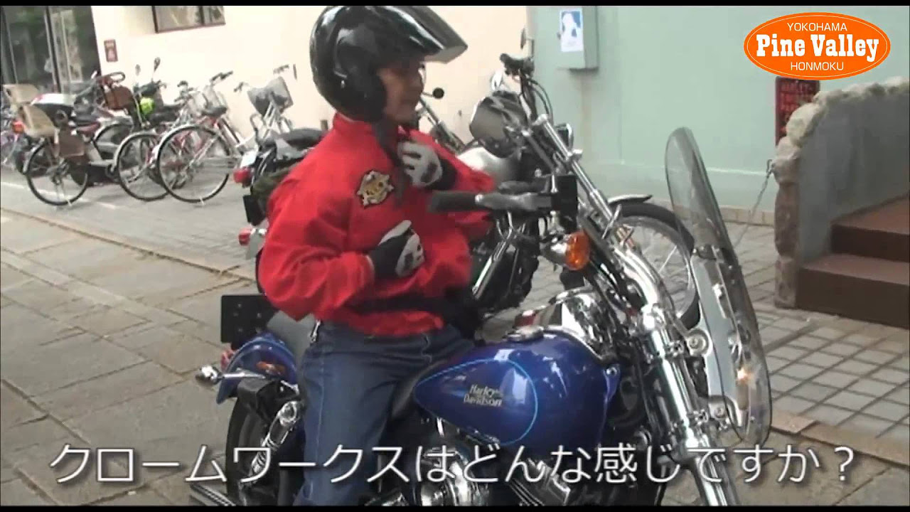 ハーレーダビッドソンダイナ＋クロームワークススリップオンマフラー