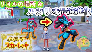 Pokemon SV] Where to find Riolu and how to evolve it into Lucario