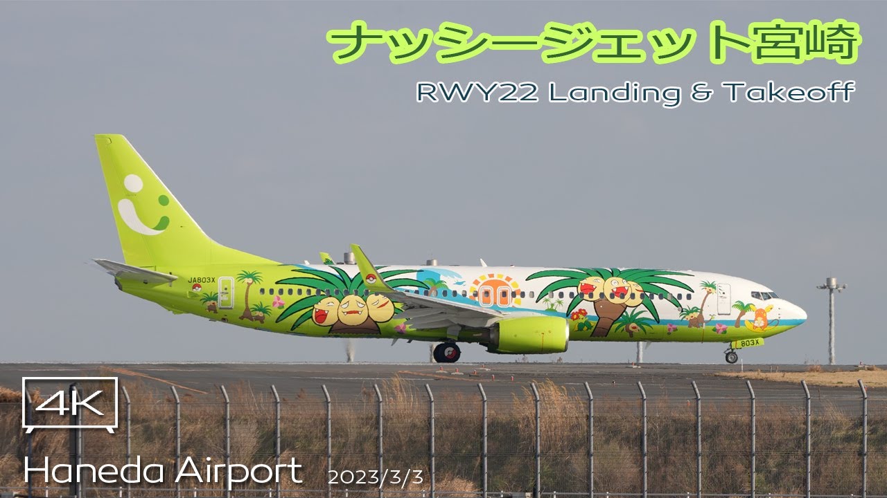 Solaseed 737-800 ソラシドエア JA803X ナッシー ポケモン フォト