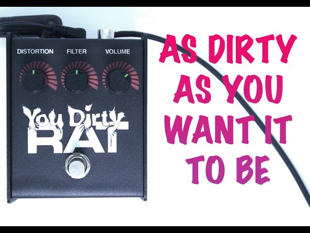 YOUR DIRTY RAT DISTORTION | ULTIMATE VERSATILITY | #ratdistortion