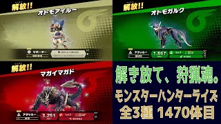 解き放て、狩猟魂。モンスターハンターライズ」(全3種 1470体目)限定