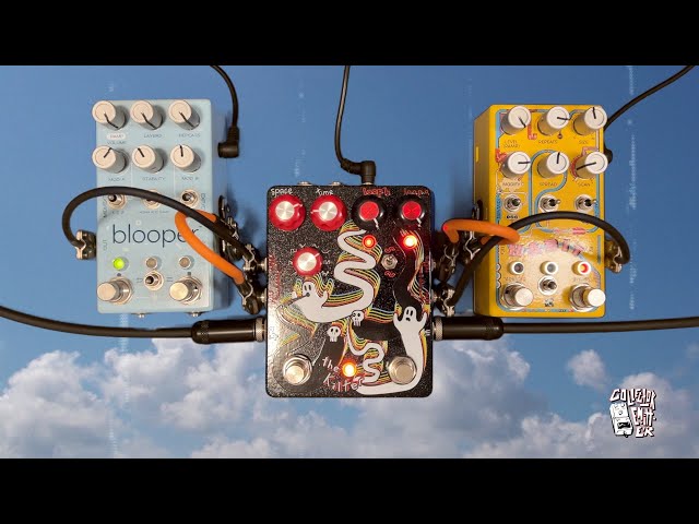 Champion Leccy - Kilter V2 - YouTube