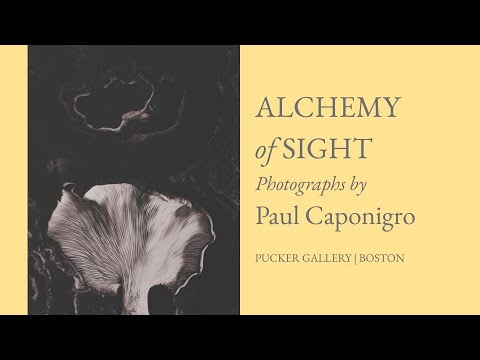 Alchemy of Sight: Photographs by Paul Caponigro - YouTube
