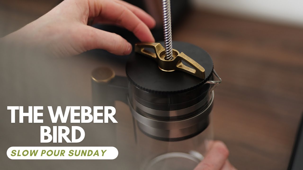 Slow Pour Sunday - The Weber Workshops Bird Coffee Brewer - YouTube