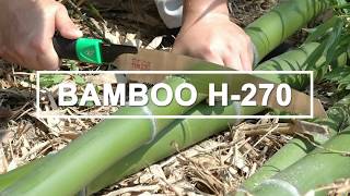 BAMBOO H-270