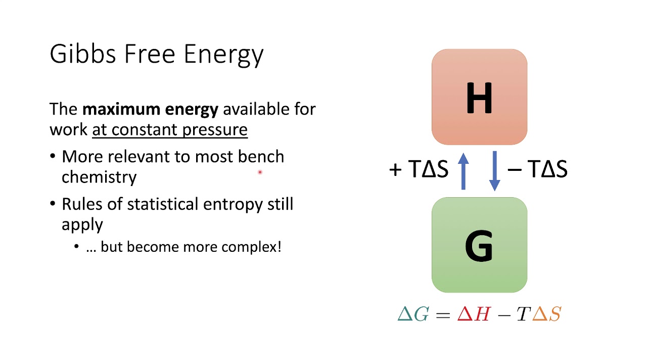 Molecular Driving Forces 7 - YouTube