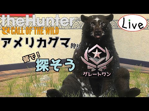 アメリカグマのグレートワンを探そう！_#255【theHunter：生配信