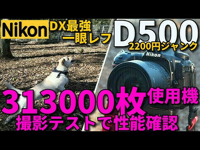 ジャンクカメラ Nikon D500 313,000枚撮影後の状態はどうなるか？2200