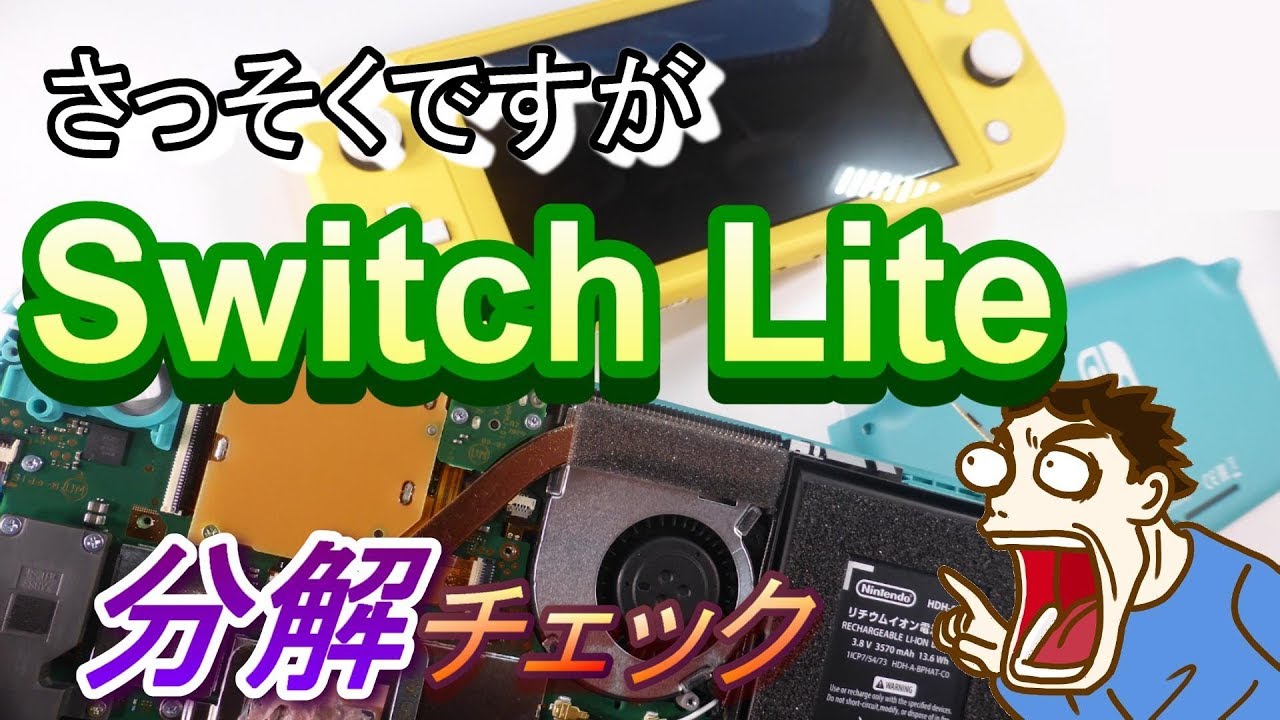 Switch Lite] The repair technician disassembled the console on the