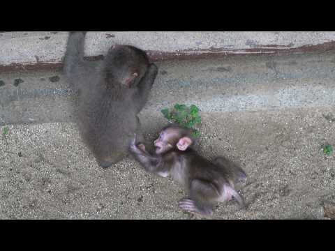 The Ultimate Babysitter: How One Patient Sister Survives This