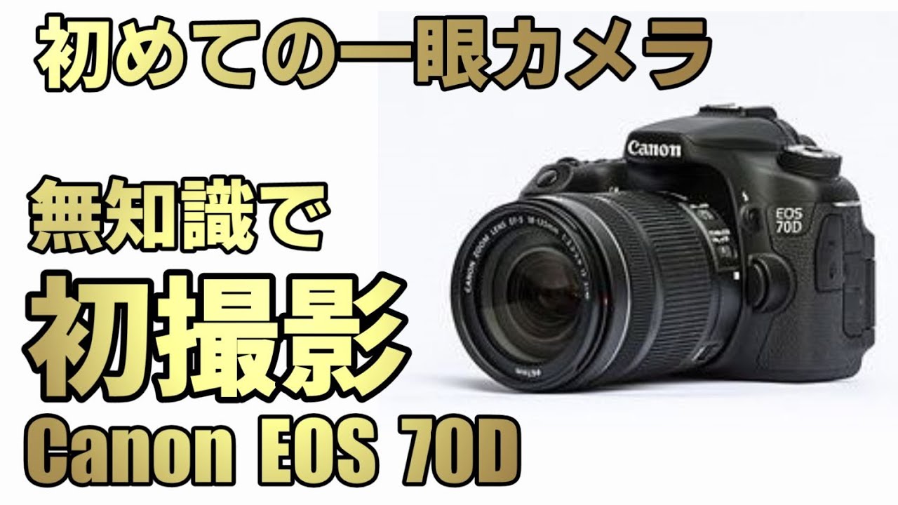 CANON EOS 70D 初撮影で高画質に感動 [メルカリ購入] - YouTube