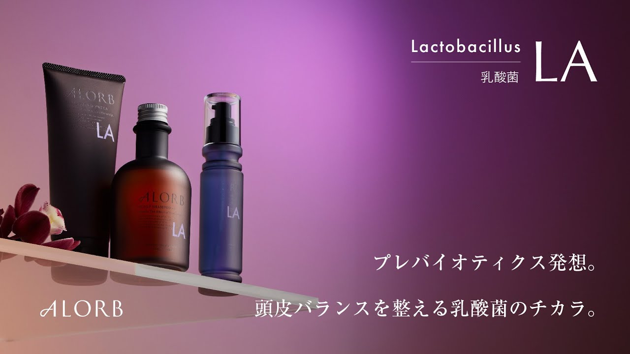 アローブEN シャンプー600ml トリートメント600g スキャルプ EN