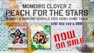 ももいろクローバーZ 春の一大事 2013 西武ドーム大会 ～星を継ぐもも