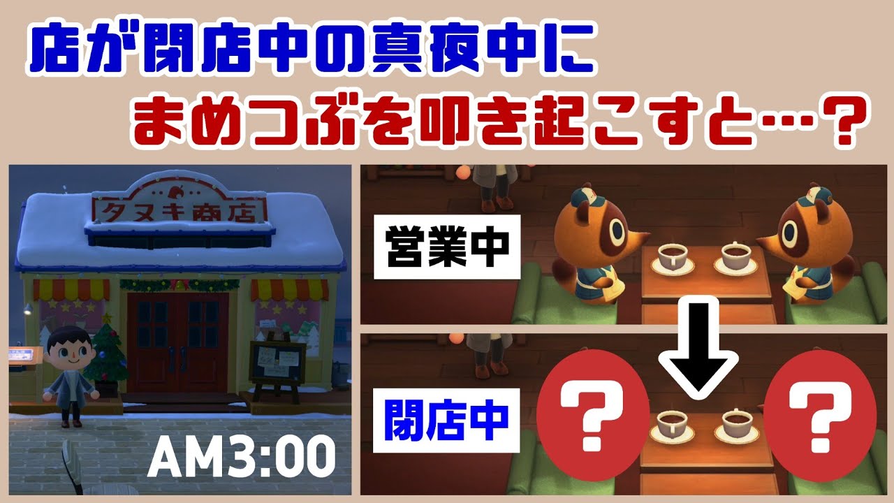 あつ森】まめ吉とつぶ吉を100％確実に見わける方法 - YouTube