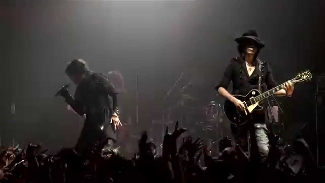 STEALTH LIVE DVD 「Affection of 