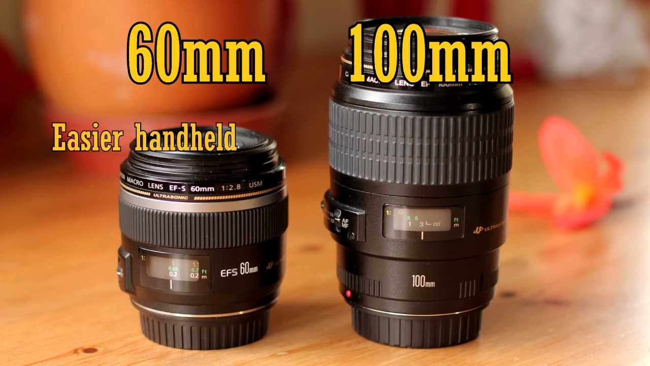Canon EF-S 60mm f/2.8 USM Macro Lens Review (with samples) - YouTube