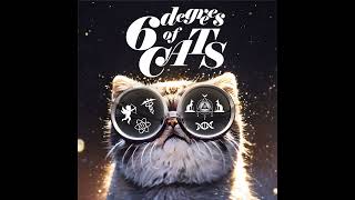 Cool Cat: How Cats Are the Soul of Rock 'n' Roll - YouTube