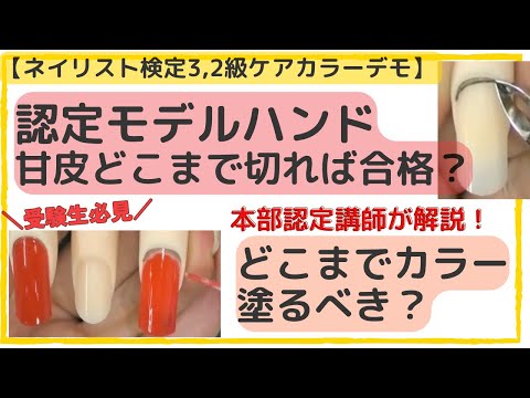 Nail Technician Certification Level 3 & 2] Certified Model Hand