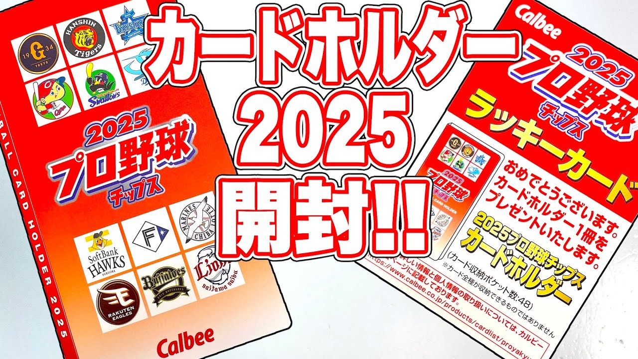 2025 Card Holder Japanese Baseball card Potato chips 1nd 