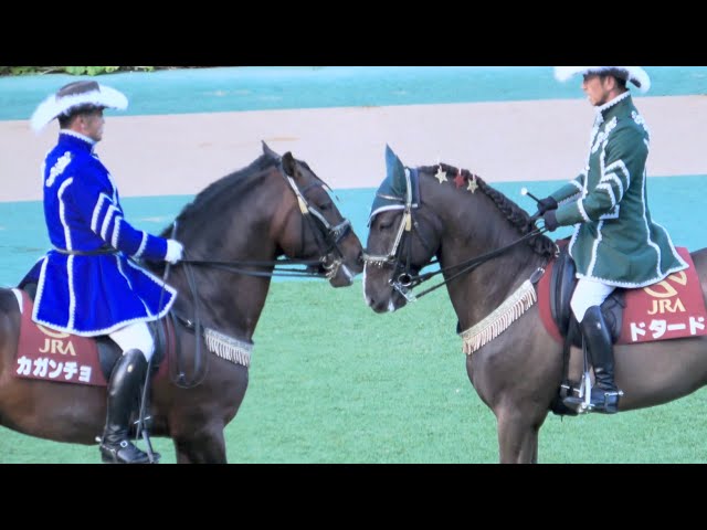 Horse Show 2025] Horse dancing by Dotard and Kagancho - on-site