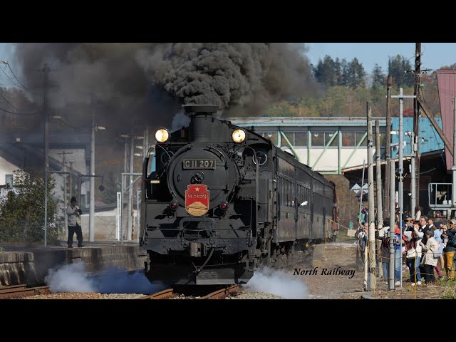 総集編】SLニセコ号 C11 207号機 函館本線 ラストラン集 / JR北海道