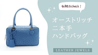 オーストリッチ 二本手ハンドバッグ ウィンターホワイト | すべての