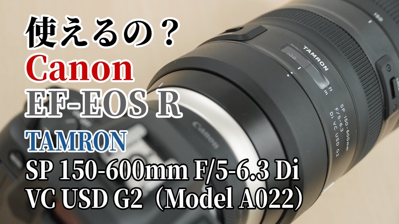 使えるの？】キヤノン マウントアダプター EF-EOS Rでタムロン SP 150