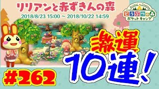 ポケ森で捕食系？！【ポケ森】#263 リリアンの赤ずきんフォーチュン