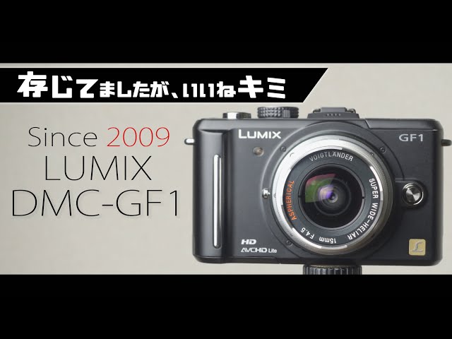 In the end, it's such an excellent camera that I want to say