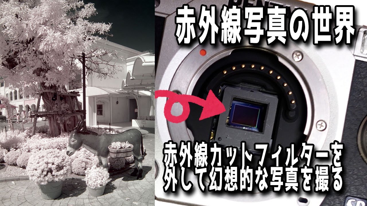 Forbidden] How to take fantastic photos by removing the infrared