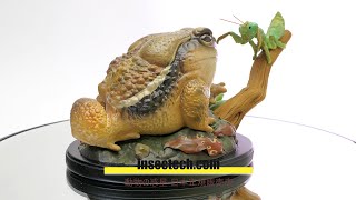 動物の惑星ジオラマシリーズ】第五弾 初回限定カマキリ付属 チュウカ