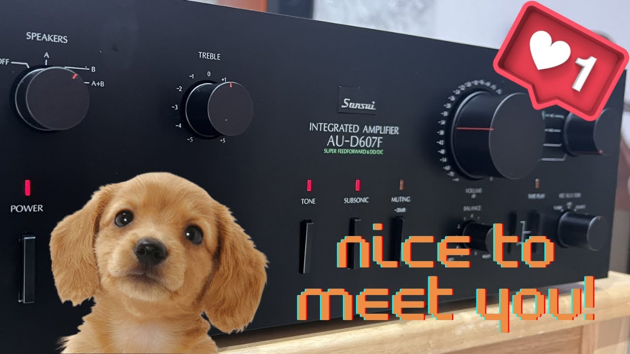 SANSUI AU-D607F】まだまだ元気なサンスイヴィンテージアンプ【1980年