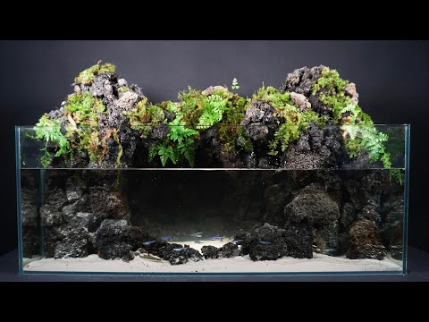 滝壺アクアテラリウムを作ってみた - YouTube