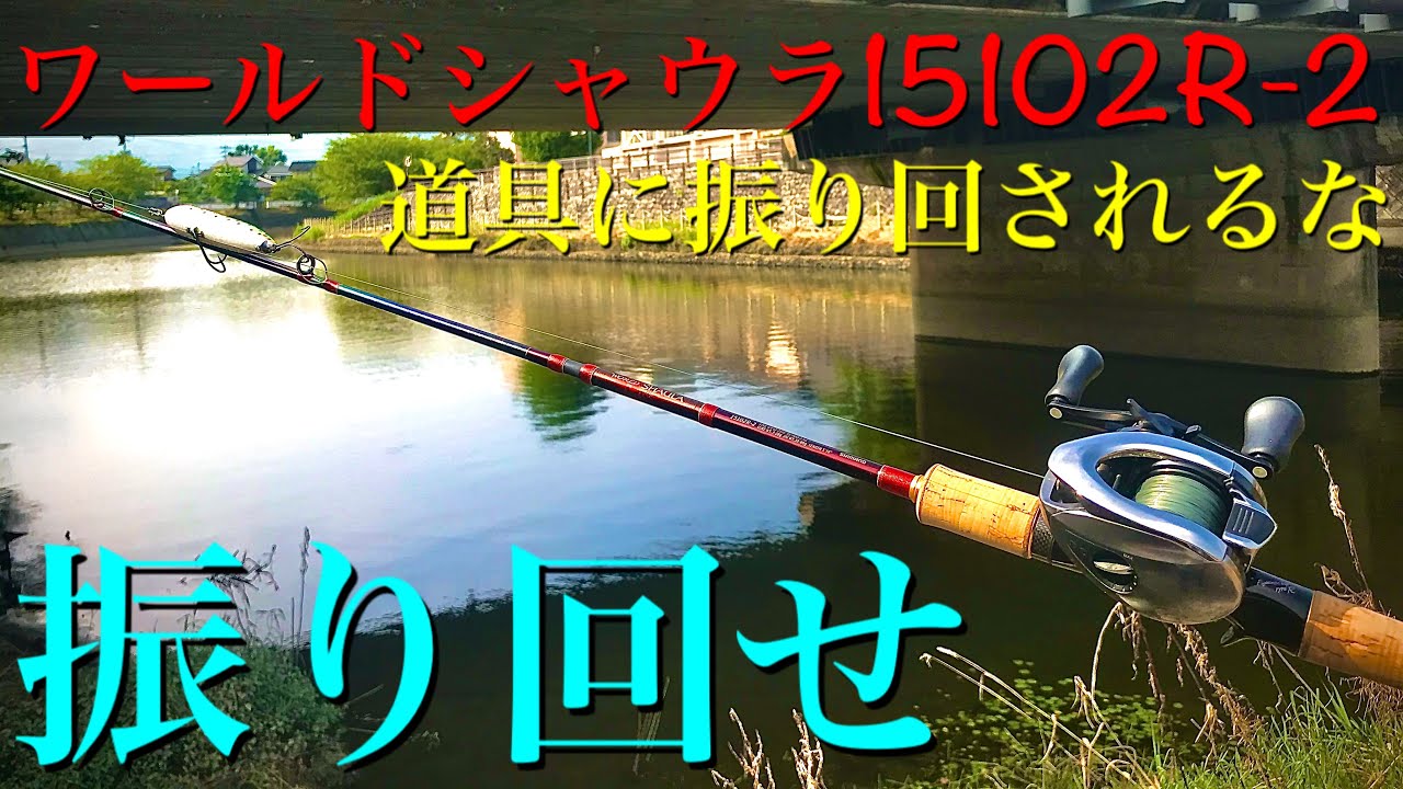 ワールドシャウラ15102R-2の長期使用インプレ バーサタイルブームに