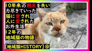 Friendship and parting] It wasn't just old age. The cat who lost