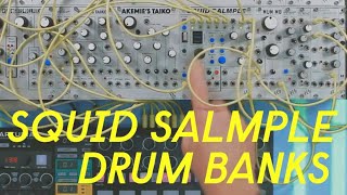 ALM Busy Squid Salmple— Clockface Modular