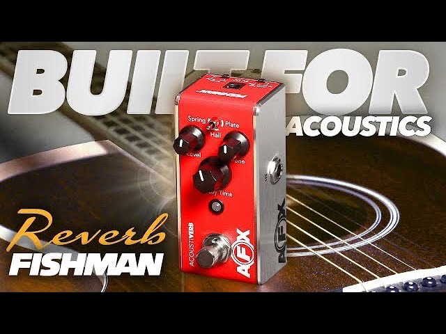 The FISHMAN AFX Acoustiverb, THAT PLATE REVERB! - YouTube