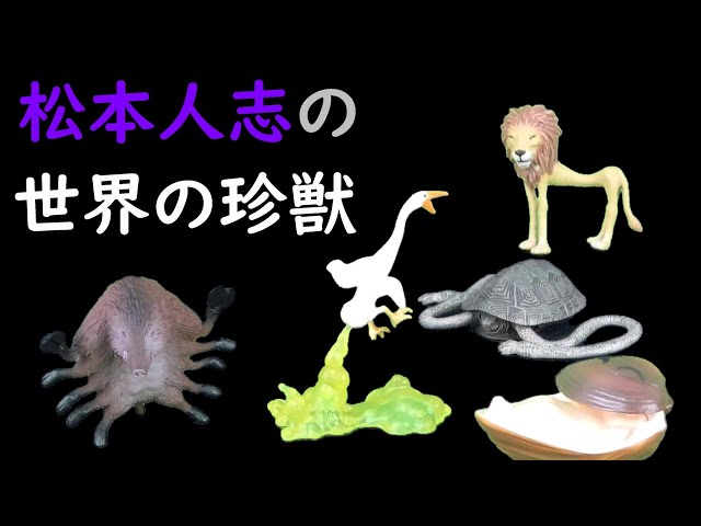 松本人志の「世界の珍獣」 おかしなオリジナルアニマルご紹介！ - YouTube