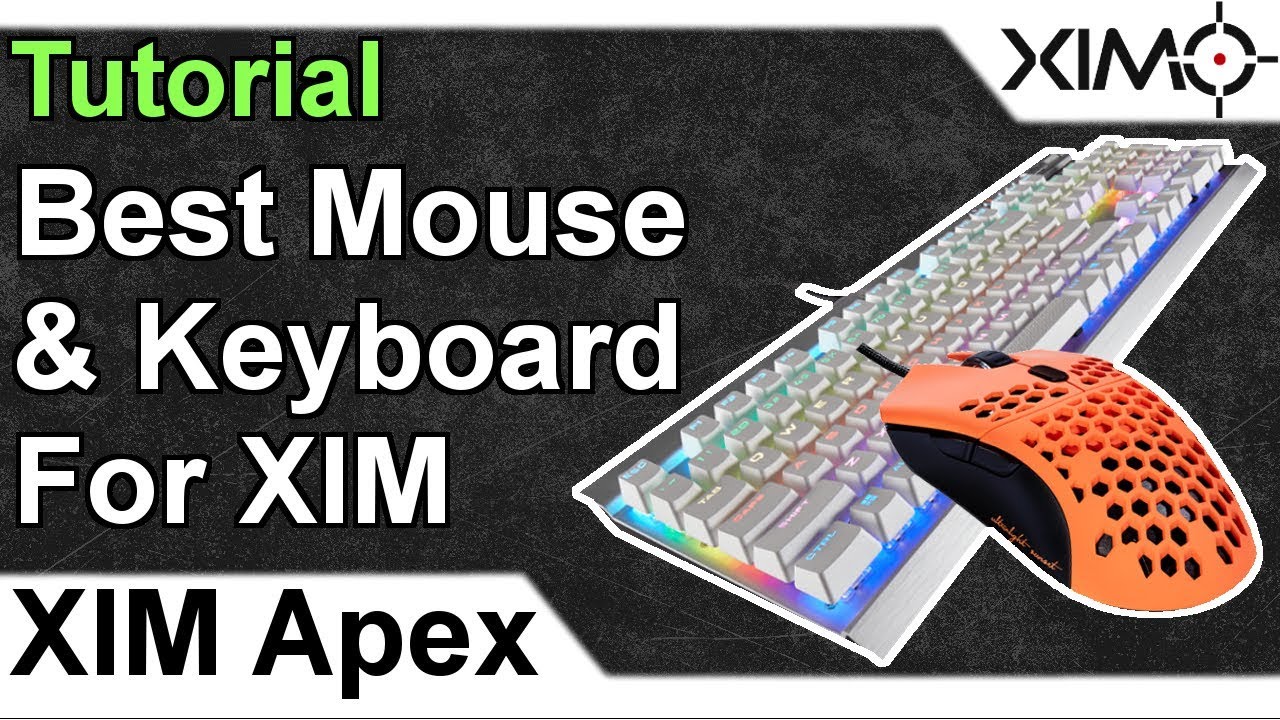 XIM APEX - Best Mouse And Keyboard For XIM Tutorial - YouTube