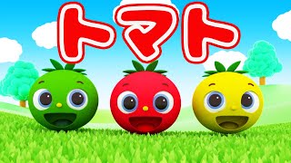 トマト（♬トマトってカワイイ名前だね～）〜Covered by うたスタ