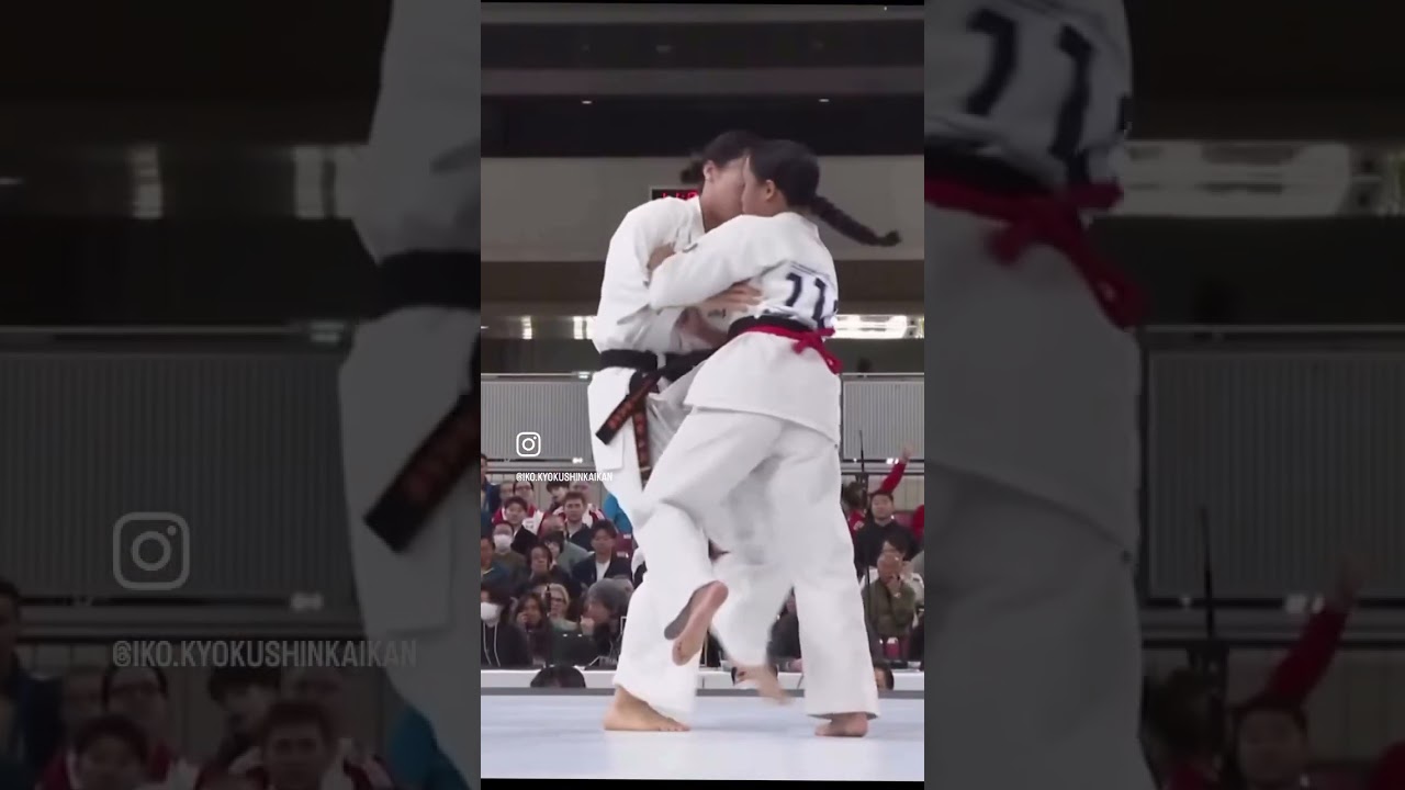 第4回全世界空手道選手権大会（1987年11月6～8日＝日本武道館）｜過去